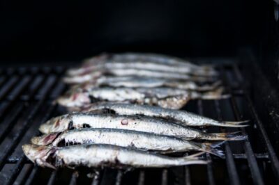 Vitamine B12 : rôle, aliments riches et signes de carence